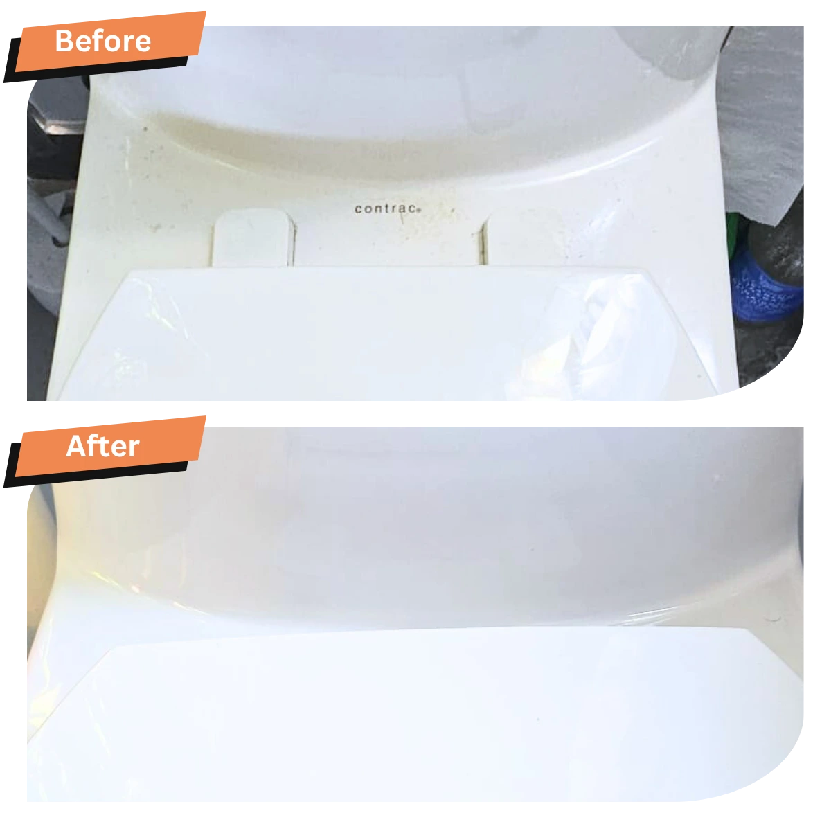 Toilet Seat Clean